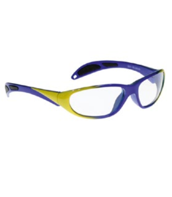 ASTRO GLASSES RX-208